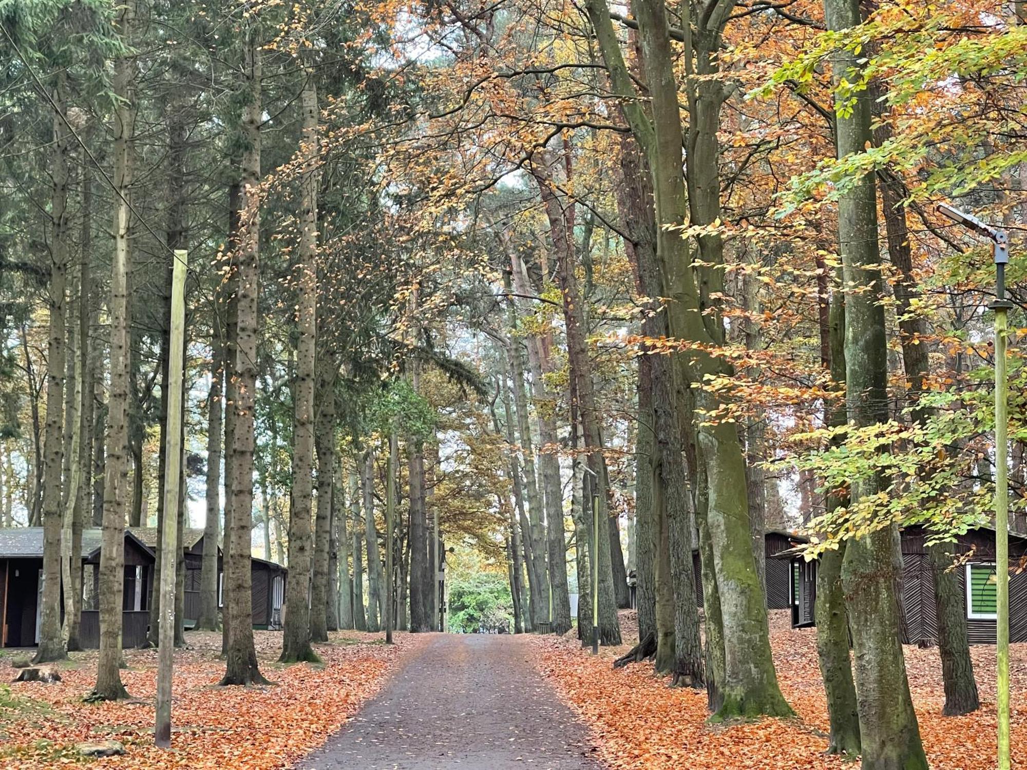 Feriendorf Fynnus Dranske Exteriér fotografie